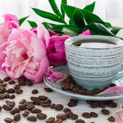 Нежные пионы с чашкой кофе