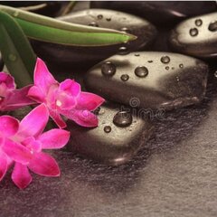 Цветок и камни СПА