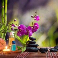 Орхидея в SPA расслабление