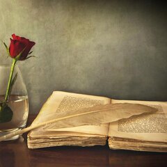 Единственная роза в вазе на столе с книгой