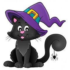 Котик-маг