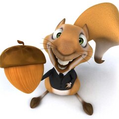 Счастливая белка с орехом