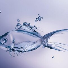 Прозрачная рыбка из воды