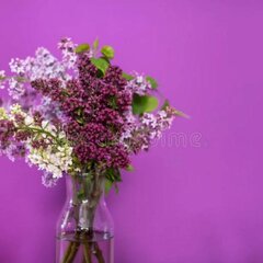 Цветущая сирень с стекляной вазе