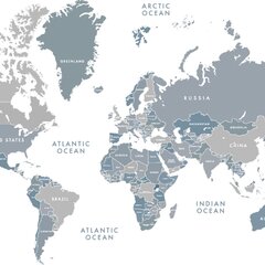 Схематичная карта мира