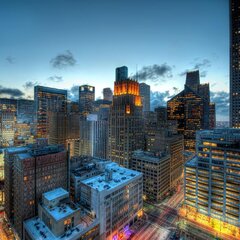 Джунгли города