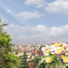 Вид на весенний город