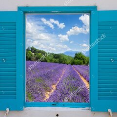 Бирюзовые ставни окна с видом на лавандовое поле