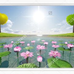 Водные лилии за окном