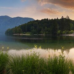 Русская природа