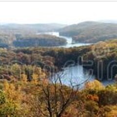 Осенняя панорама леса