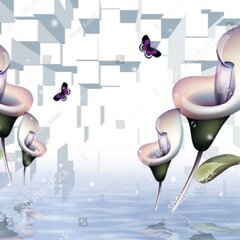 3D Каллы над водой