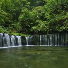 Водопад в диком лесу