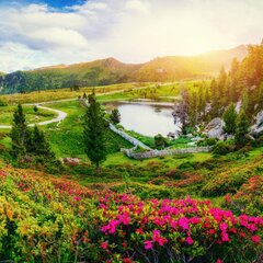 Летние горные пейзажи