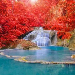 Яркая осень