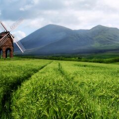 Зеленый луг и мельница
