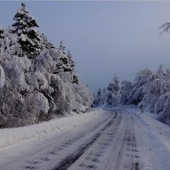 Зимняя дорога