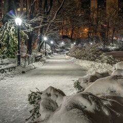 Городской парк зимой