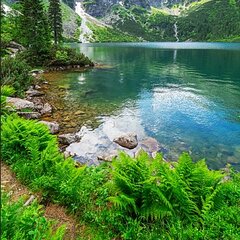 Красивые пейзажи 