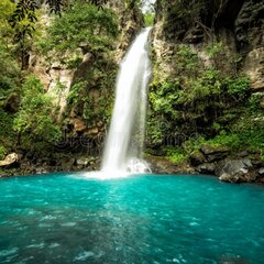 Тропики и водопад