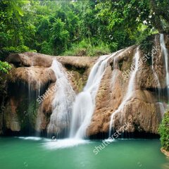 Лесные мотивы с водопадом