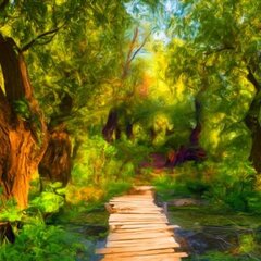Дорога через лес