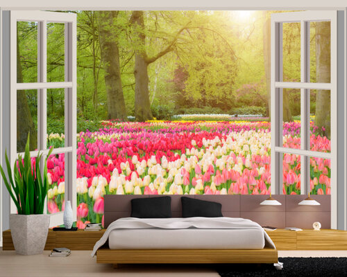 Вид из окна - поле тюльпанов