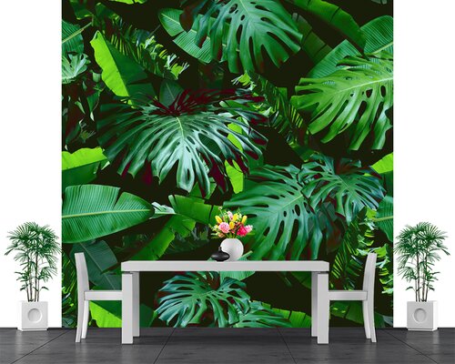 Зеленые листья монстеры Зеленые листья монстеры