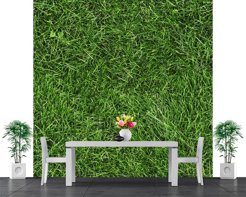 Зеленая трава Зеленая трава