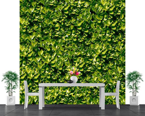 Фон из зелени Фон из зелени