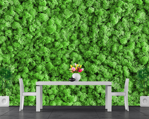 Густая зелень Густая зелень