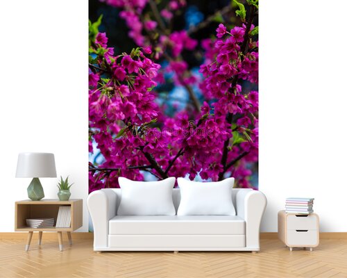 Яркая цветущая сакура Яркая цветущая сакура