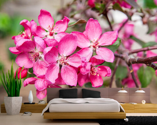 Сакура в саду Сакура в саду