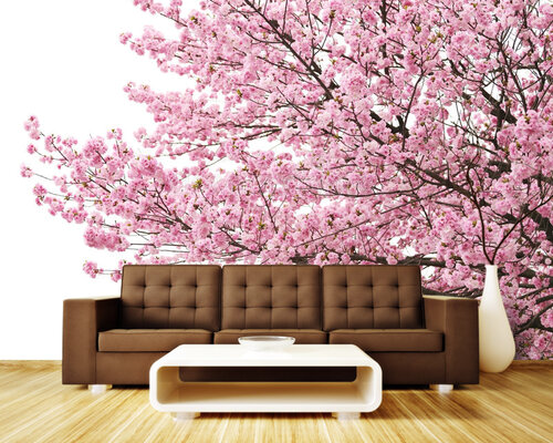 Нежная розовая сакура Нежная розовая сакура