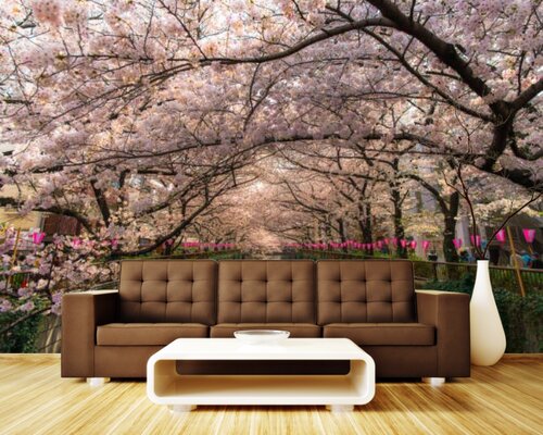 Цветущая сакура вдоль Мэгуро Цветущая сакура вдоль Мэгуро