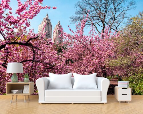 Весенняя сакура в парке Весенняя сакура в парке