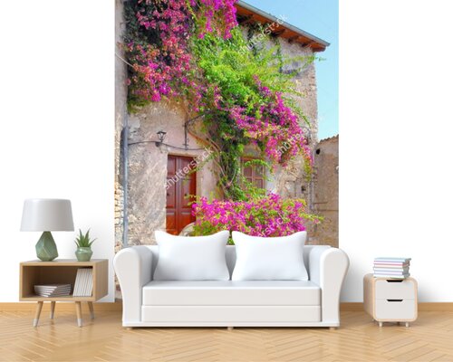 Розовый куст на стене старого дома Розовый куст на стене старого дома