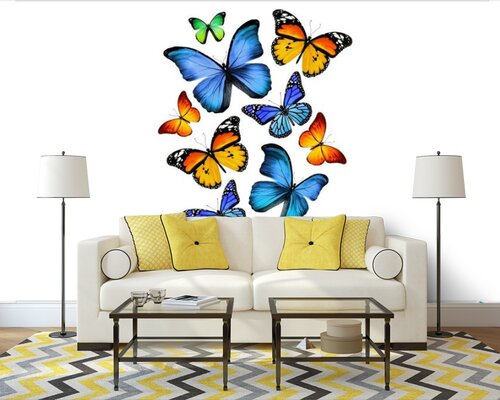 Разноцветные бабочки Разноцветные бабочки