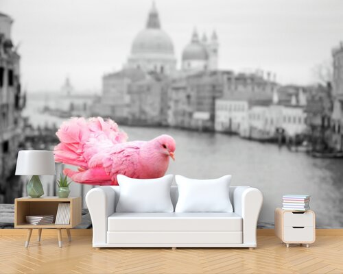 Розовый голубь в Париже Розовый голубь в Париже