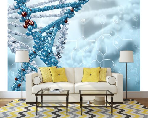 Спирали ДНК Спирали ДНК