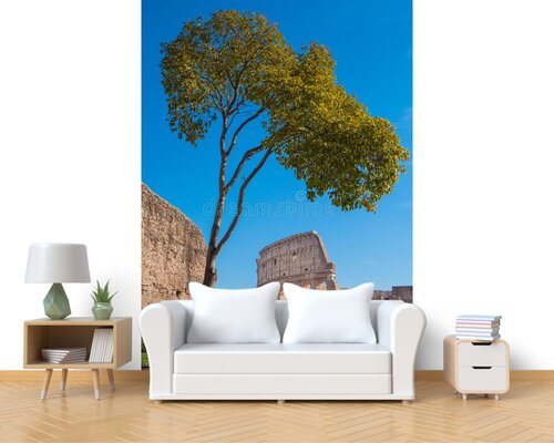 Дерево на фоне Колизея Дерево на фоне Колизея