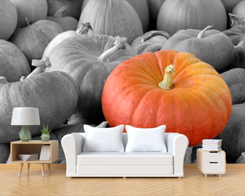 Оранжевая большая тыква Оранжевая большая тыква