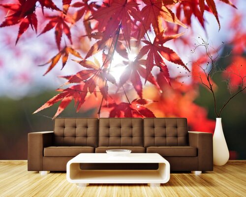 Нежная осень Нежная осень