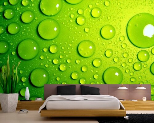 Прозрачные капли на зеленом Прозрачные капли на зеленом