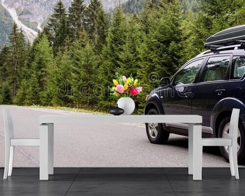 Путешествие по стране на автомобиле Путешествие по стране на автомобиле