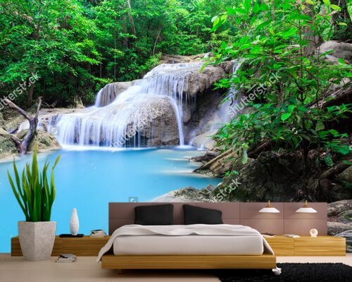 Чистота лесной природы Чистота лесной природы