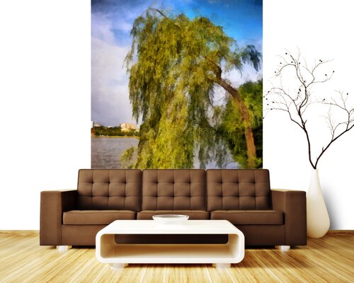 Плакучая ива Плакучая ива