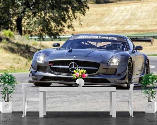 Гоночный Мерседес в дороге Гоночный Мерседес в дороге