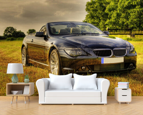 БМВ кабриолет в поле БМВ кабриолет в поле