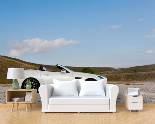 Белый кабриолет в степи Белый кабриолет в степи